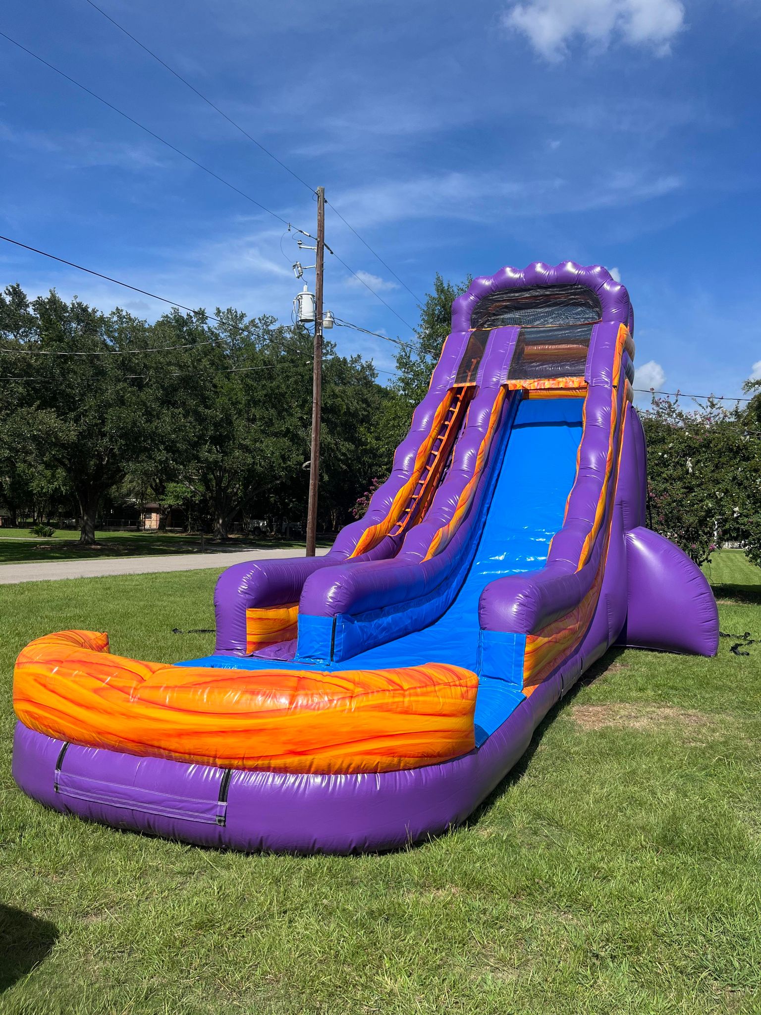 22 Ft. Purple and Gold Slide
